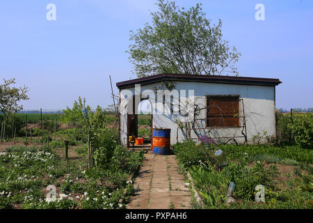 Starting new gardening season- brick cottage on allotments in early spring Stock Photo