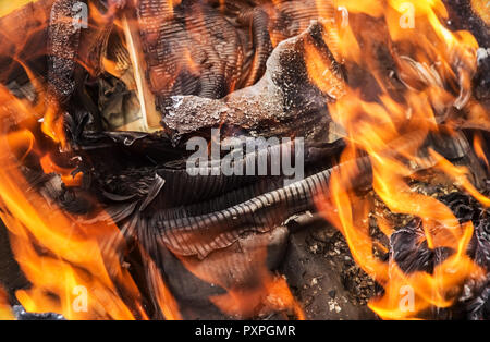 Paper burning in the fire close-up Stock Photo