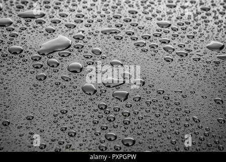 water drops on black background Stock Photo