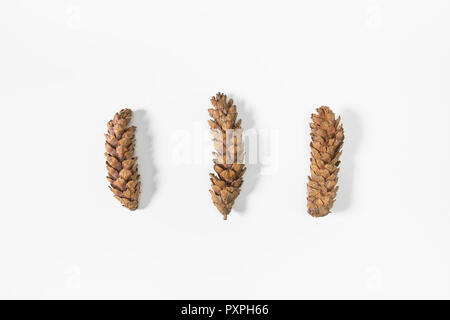 Beautiful Christmas composition on white background. Flat lay, top view Stock Photo