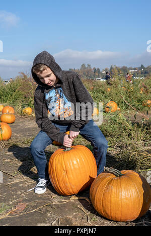 15 year old boy showing his strength lifting a big pumpkin at a pumpkin patch. Stock Photo