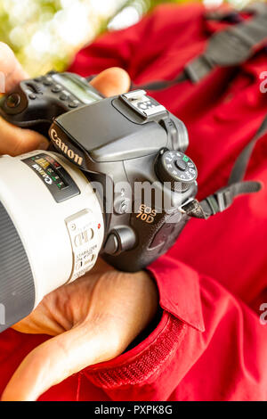 A photographer shows his camera to an instructor whilst on a forest based training course. Forest of Dean Stock Photo