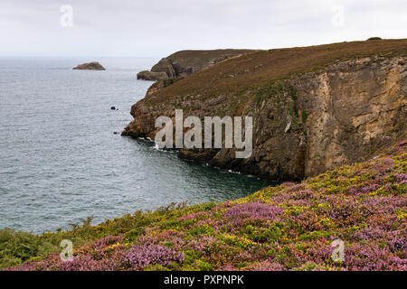 Spectacular cliffs in Cap Frehel, Pointe du Jas and island Amas du Cap on a cloudy day in summer (Brittany, France) Stock Photo