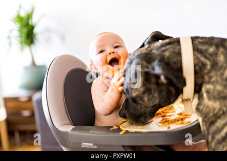 Little baby girl eating her spaghetti dinner and making a mess with pitbull lich Stock Photo