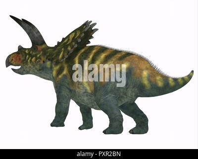 Coahuilaceratops Dinosaur Tail - Coahuilaceratops was a herbivorous Ceratopsian dinosaur that lived in Mexico during the Cretaceous Period. Stock Photo