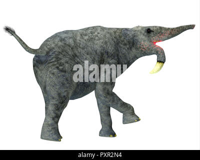 The hoe tusker, or Deinotherium (terrible beast),was a prehistoric  relative of Elephants with strange downward-curving tusks from its lower  jaws Stock Photo - Alamy