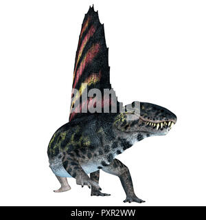 Dimetrodon Reptile on White - Dimetrodon was a sail-back carnivorous dinosaur that lived in North America and Europe during the Permian Period. Stock Photo