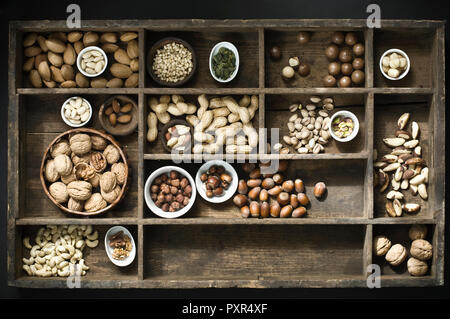 Various peeled an unpeeled nuts in in a type case Stock Photo