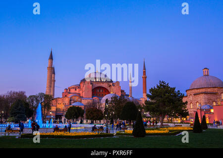 Turkey, Istanbul, Park with fountain, Hagia Sofia Mosque in the background at blue hour Stock Photo