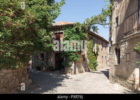 street that arrives at a crossroads, a street goes out on either side of a house, vegetation on the walls, Medinacelli, Soria, Castilla y Leon, Spain Stock Photo