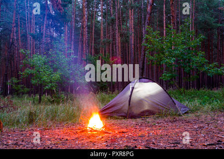 bonfire near a tent in a pine forest Stock Photo