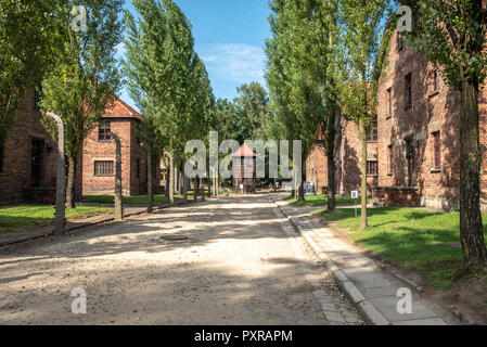 Exterior view down dirt road of barracks at Auschwitz-Birkenau concentration camp, Oswiecim, Lesser Poland, Poland. Stock Photo