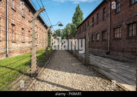 Barbed wire fencing lines either side barracks at Auschwitz-Birkenau concentration camp as a way to keep prisoners in during WWII, Oswiecim, Lesser Po Stock Photo