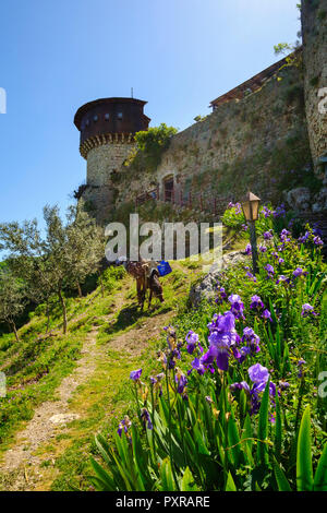 Albania, Tirana, Petrela, Castle Kalaja e Petreles Stock Photo