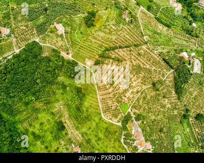 Italy, Tuscany, Aerial view of Monsummano Terme Stock Photo