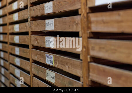 Japanese traditional Edo Komon workshop Stock Photo