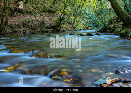 The river at Lydford Gorge near Whitelady waterfall, Lydford, Devon, England Stock Photo