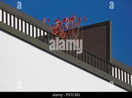 White building wall with diagonal brown balcony railing, red plant and blue sky Stock Photo