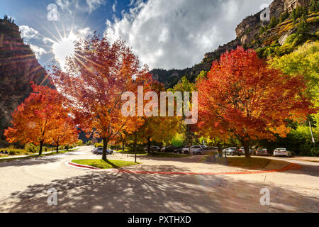 Fall foliage in The Hanging Lake Colorado Stock Photo