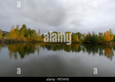 Fall foliage in The Hanging Lake Colorado Stock Photo - Alamy