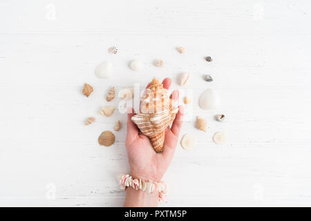 A big shell in the female hand with small various shells around, flat lay with copy space Stock Photo