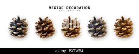 Realistic pine cones set isolated on white background Stock Vector