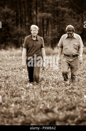 President Jimmy Carter and his brother Billy Carter are joined by a tenant farmer as they assess their summer peanut crop. The Carters own tracts of farmland around Plains, Georgia along with a peanut warehouse in that city, although the President's holdings are held in a blind trust during his presidency. - To license this image, click on the shopping cart below - Stock Photo