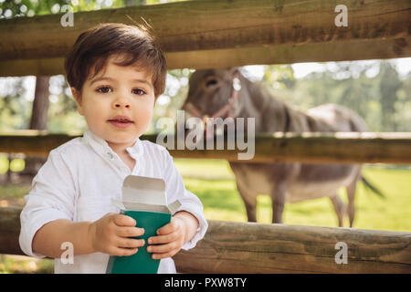 Portrait of toddler with box of animal food in wild park Stock Photo