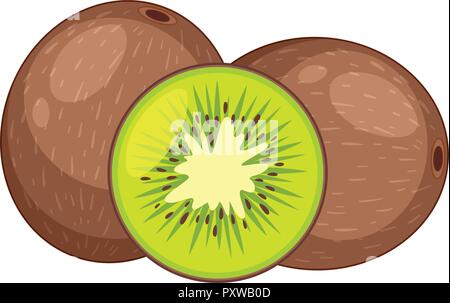 Two fresh kiwi fruits in whole and one cut in half illustration Stock Vector