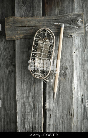 Old ice ax and snowshoes hanging on rustic wooden wall Stock Photo