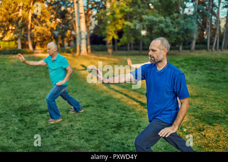 Group of people doing Tai chi in a park Stock Photo
