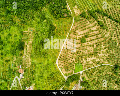 Italy, Tuscany, Aerial view of Monsummano Terme Stock Photo