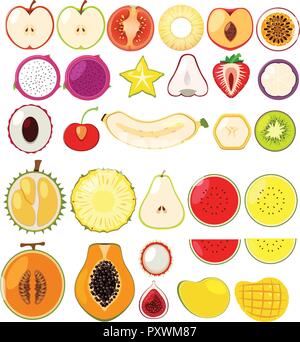 Different types of fruits cut in half illustration Stock Vector