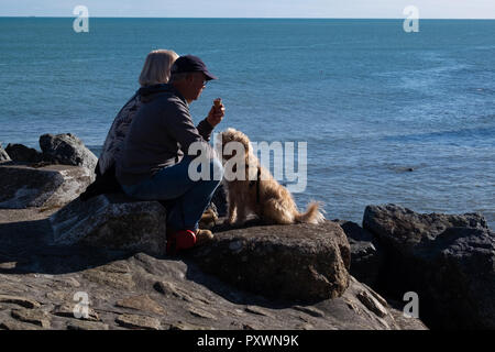 Older couple sitting on the rocks overlooking the sea eating an ice-cream cone with their hopeful looking terrier type dog looking on in hope. Stock Photo