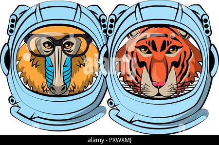 Mandrill and tiger face cool sketch Stock Vector