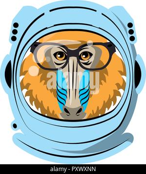Mandrill face cool sketch Stock Vector