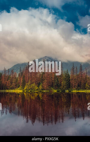 View on the lake in the mountains during the autumn season with beautiful colors. Stock Photo