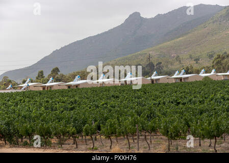 Pulpit Rock winery at Riebeek West in the Swartland wine producing region of South Africa. Workers cottages in the vines. Stock Photo