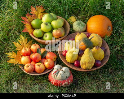 A selection of autumn fruits in bowls on a green grass background with leaf decorations Stock Photo