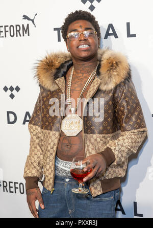 Kodak Black attends the 4th Annual TIDAL X: Brooklyn at Barclays Center of  Brooklyn in New York, NY, on October 23, 2018. (Photo by Anthony Behar/Sipa  USA Stock Photo - Alamy