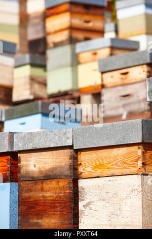 Beehives. Traditional colored wooden box. Muniellos, Asturias, Spain. Horizontal Stock Photo