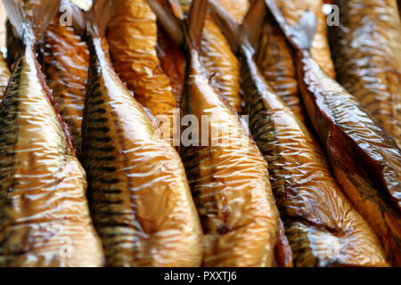 Fresh golden smoked mackerel closeup photo Stock Photo