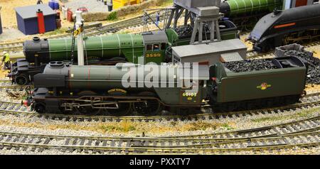 The Flying Scotsman in BR green. Stock Photo