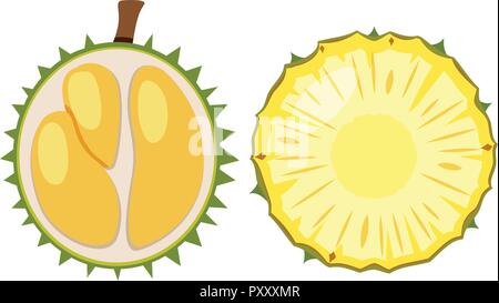Durian and pineapple cut in half illustration Stock Vector
