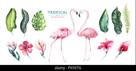 Hand drawn watercolor tropical birds set of flamingo. Exotic rose bird illustrations, jungle tree, brazil trendy art. Perfect for fabric design. Aloha collection. Stock Photo