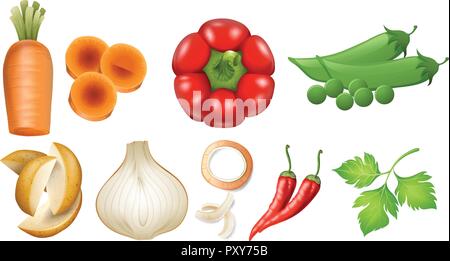 Different types of fresh vegetables illustration Stock Vector