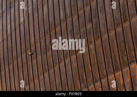 Details of rusty steel structural sheets, used for external roofing surface in organic architectural design. Surface with zinc traces. Stock Photo