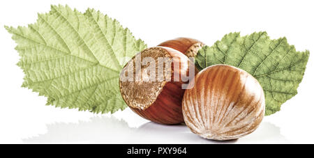 Haselnuesse Stock Photo
