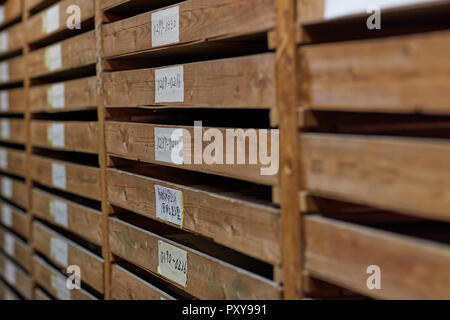 Japanese traditional Edo Komon workshop Stock Photo