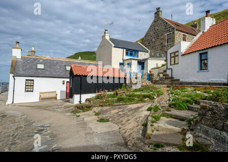 Crovie, Aberdeenshire, Scotland Stock Photo